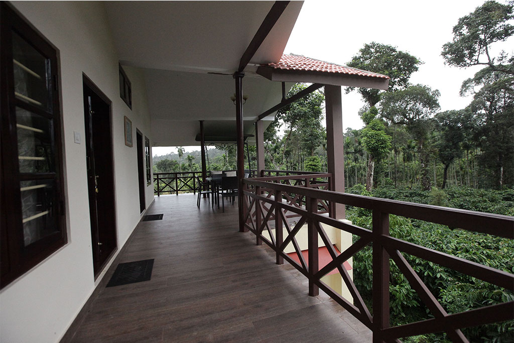 coffee plantations in Virajpet Coorg