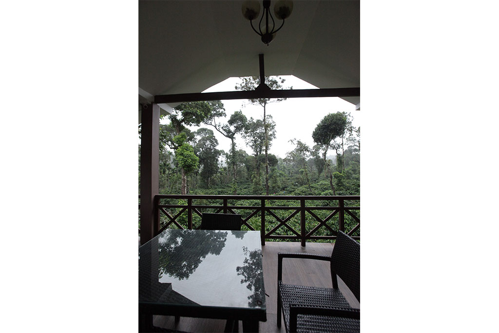 coorg coffee homestay