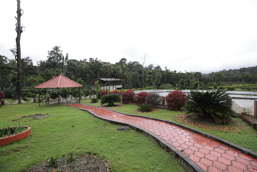 coffee estate stay at coorg